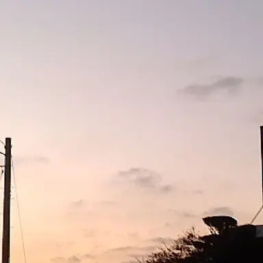 Profile image of MILK