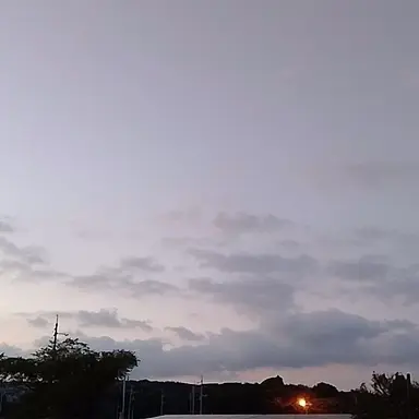 Profile image of キンプリ