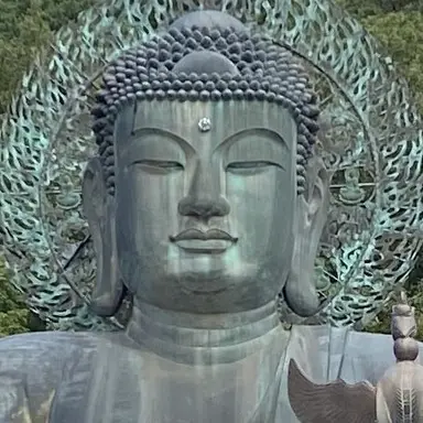 Profile image of 김하경