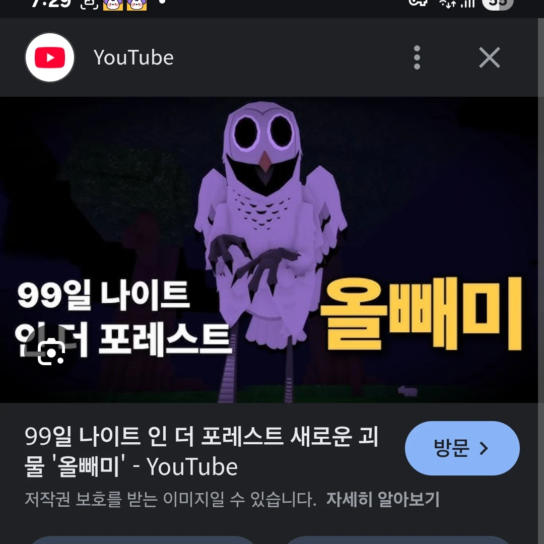 올빼미