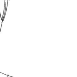 Profile image of 愛華