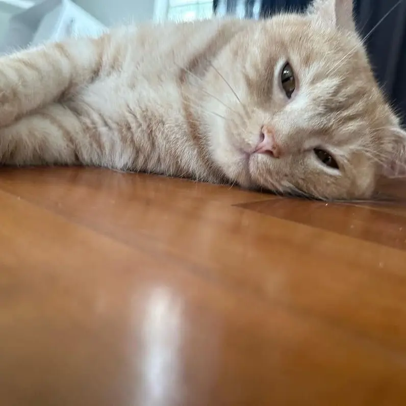 CloudyRuler4360의 최원재