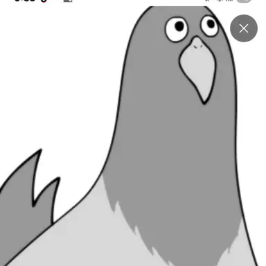 Profile image of 새대갈