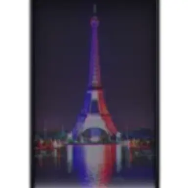 Profile image of French Republic