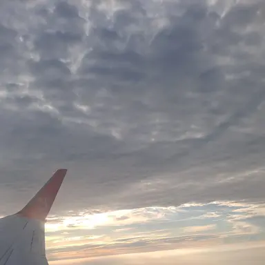 Profile image of 아이돌들