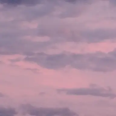 Profile image of 江口拓也