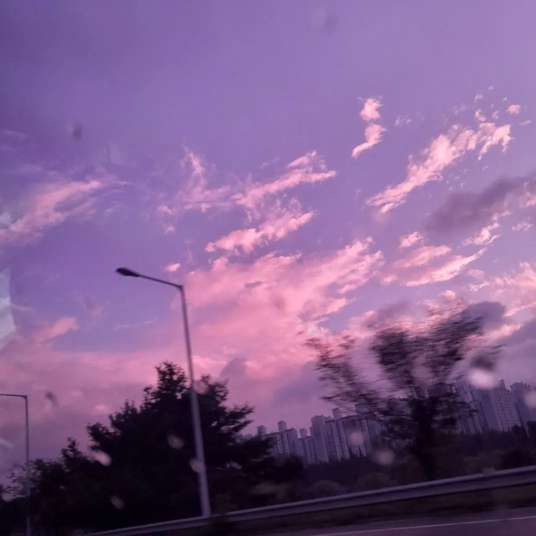 CuteSwamp0411의 뜰팁학교