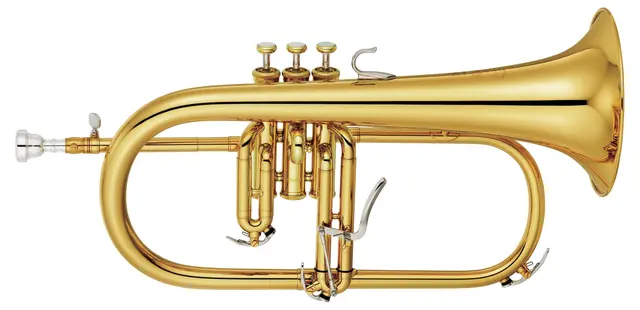 Profile image of フリューゲルホルン