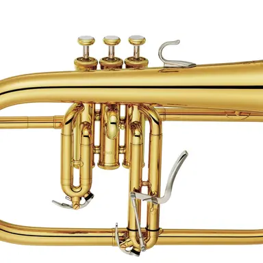 Profile image of フリューゲルホルン