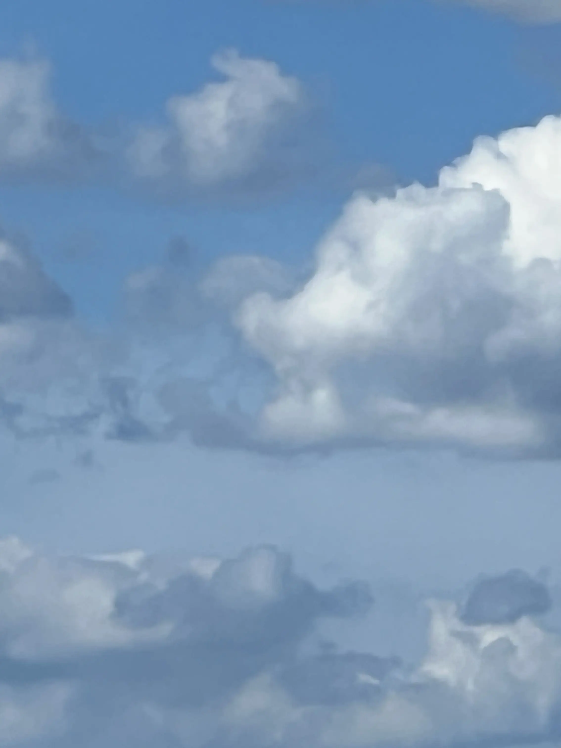 l62의 弟(妹)フラ