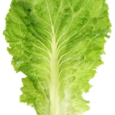 Profile image of 운터