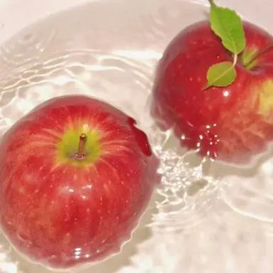 Profile image of 마플