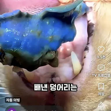 Profile image of 서예린