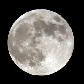 Profile image of 사쿠사 키요오미