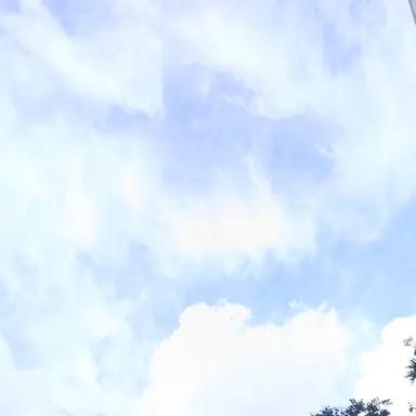 Profile image of 부잣집 딸 아들환생