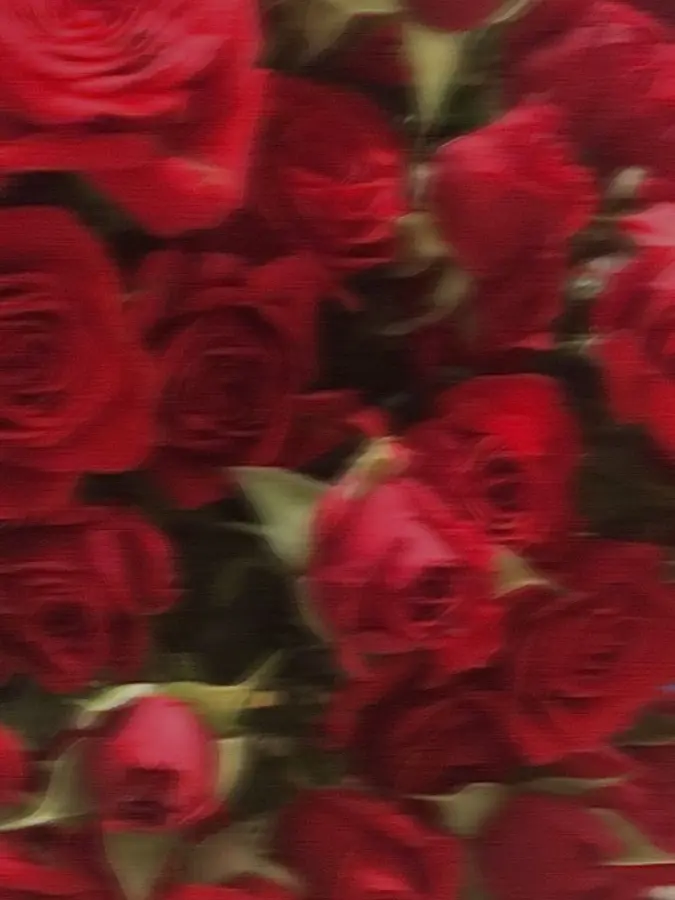 KAITO1209의 Arranged Marriage