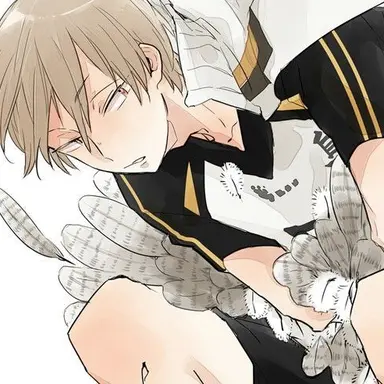Profile image of Akinori Konoha