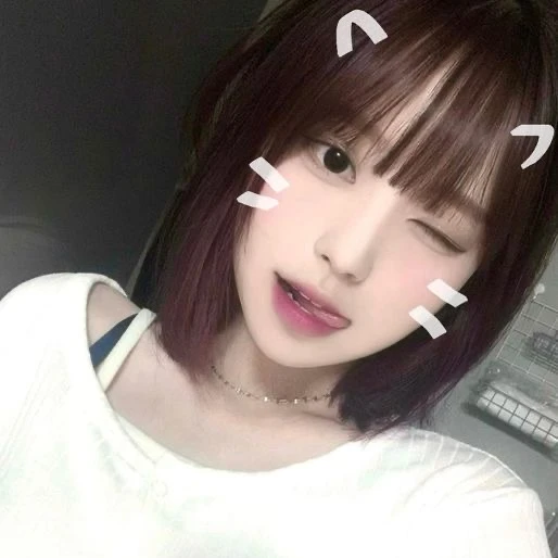 알파메일의삶 RPG