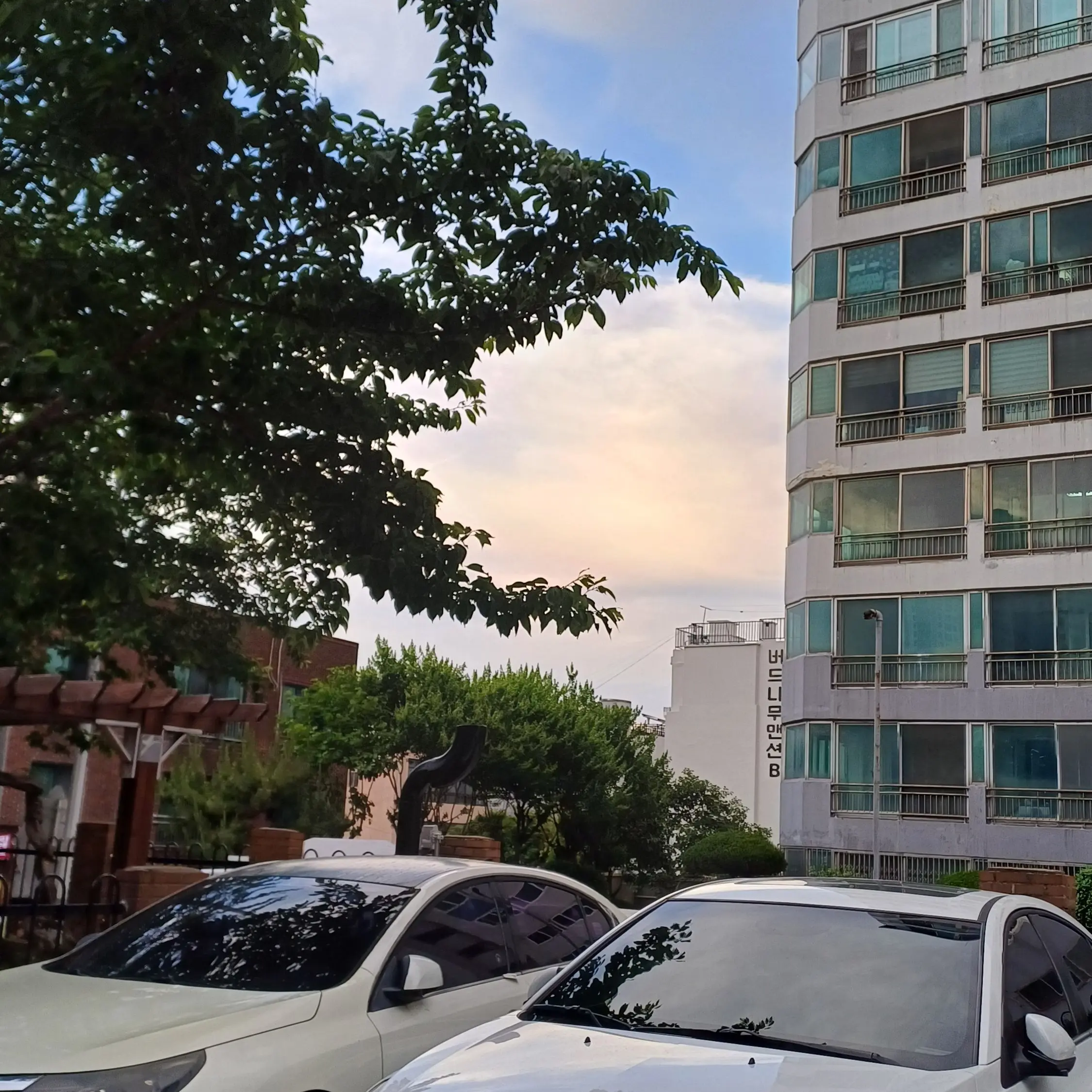 FatFly3172의 좀비친구랑 동거