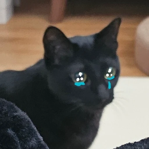 고니