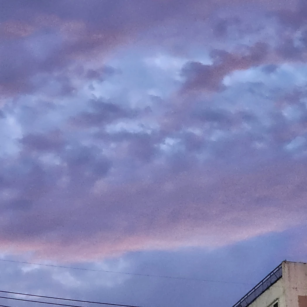 꽥꽥탐험대