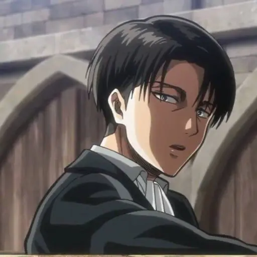 CurvedMall0429의 리바이 아커만