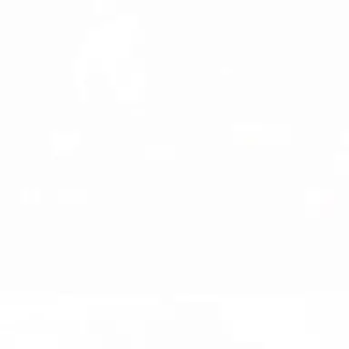 Profile image of 萌美