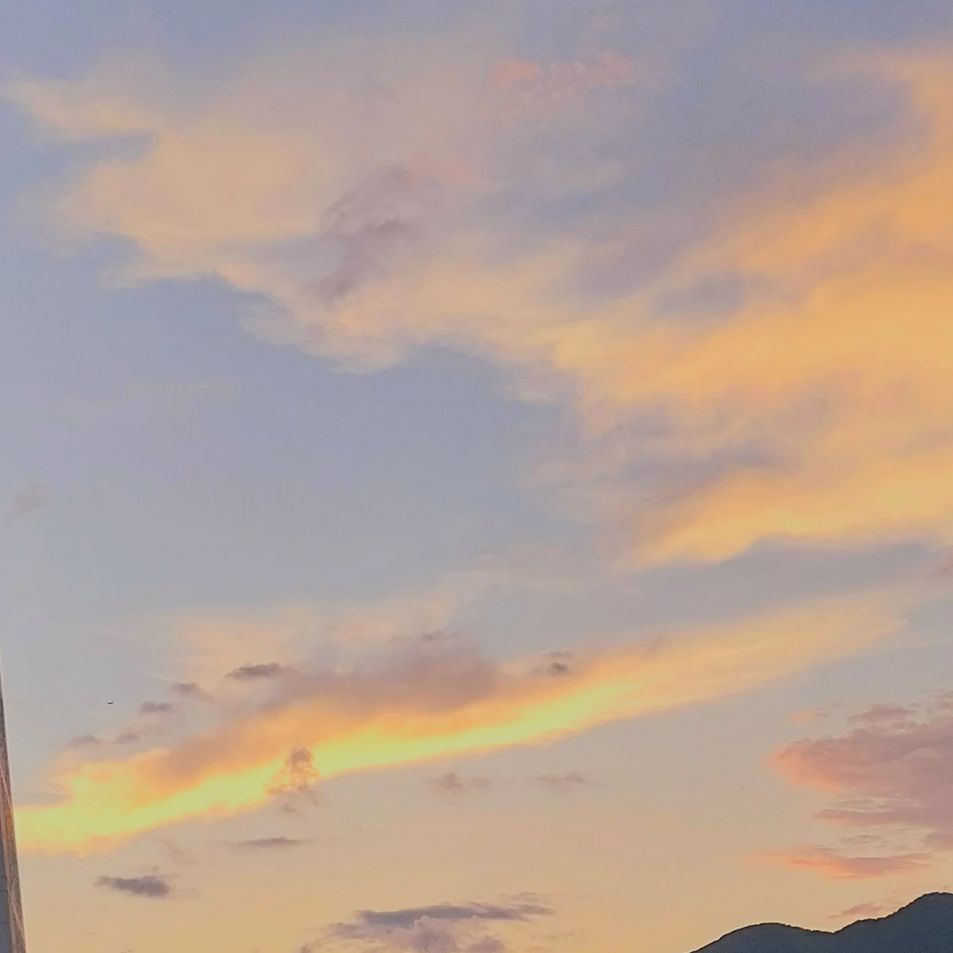 김준구