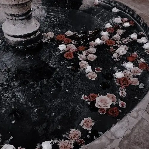 stayr의 아, 언제나 제 예상을 벗어나시네요.