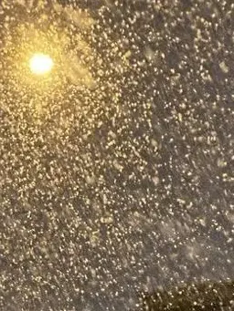 marukallua의 後悔