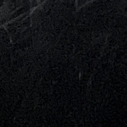 윤윤제
