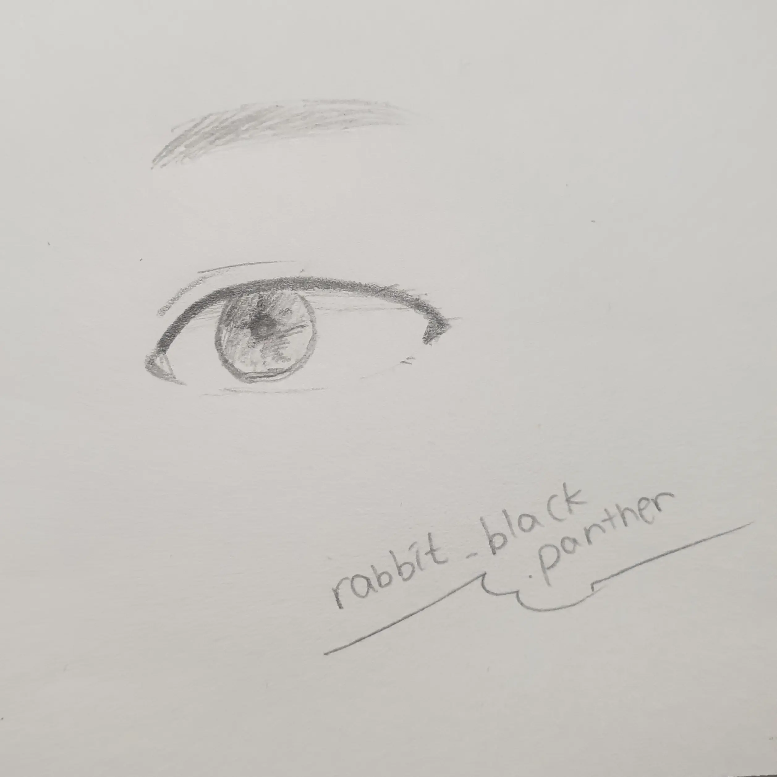 Rabbit_blackpanther의 우리반 가오충이 최약체였다