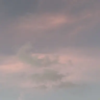 Profile image of 엄마