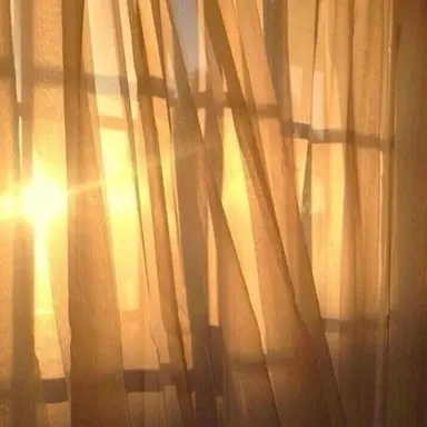 Profile image of 쪼만