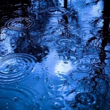 Profile image of 행크