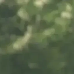 이지훈