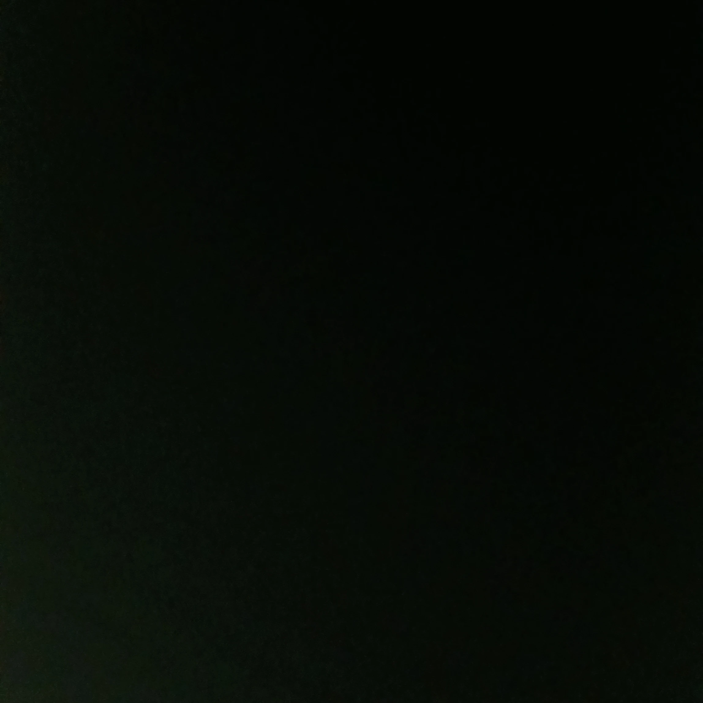 윤지호