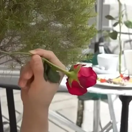IBINN의 횽지슈