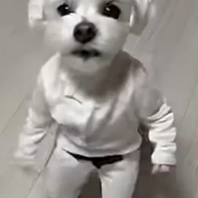 BitterWiper6618의 아름답고 미운새~