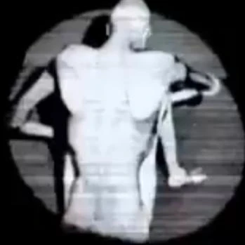 SCP 096
