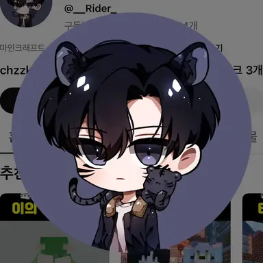 Profile image of 라이더