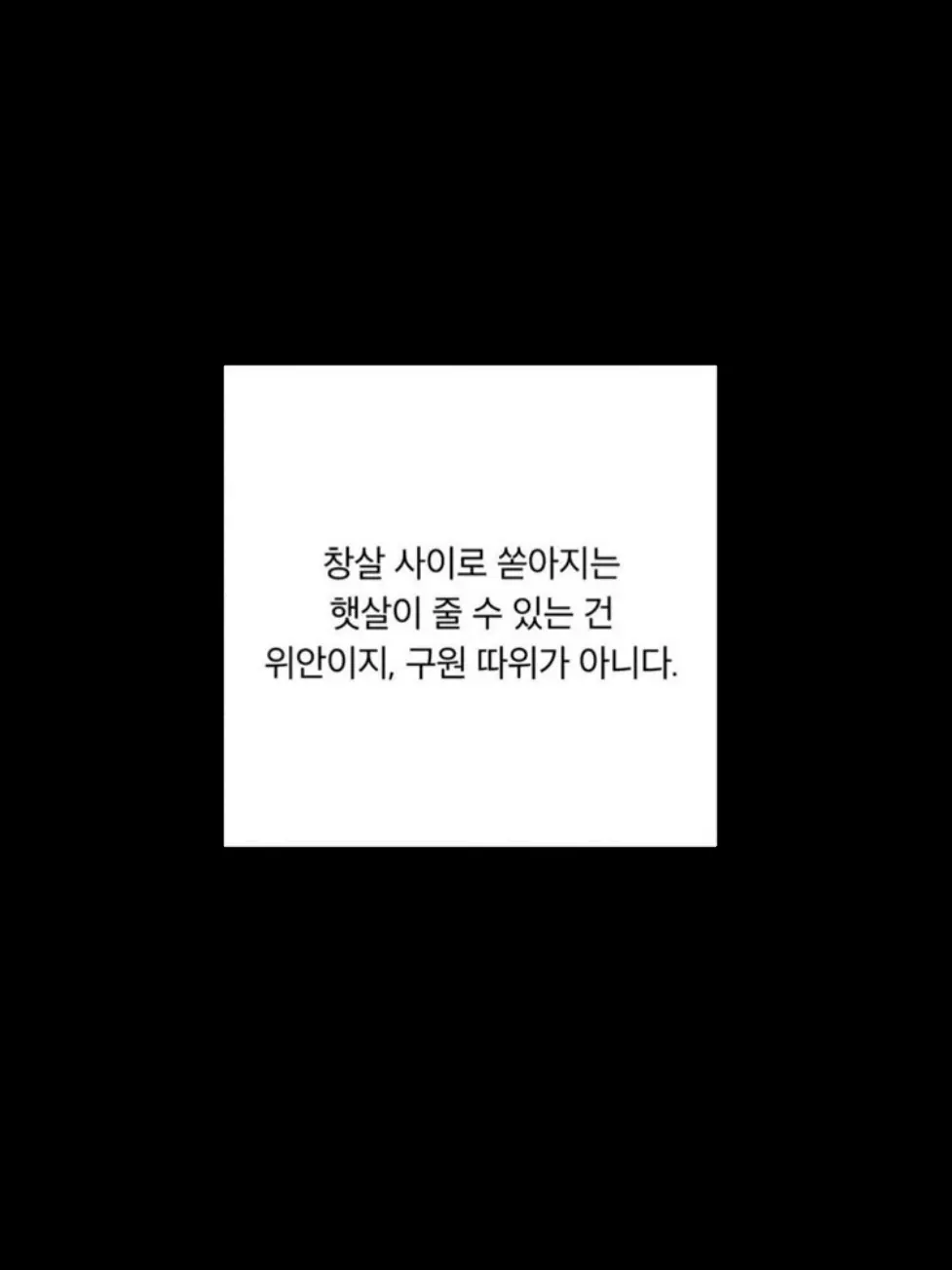IllIIlI의 ㅤ