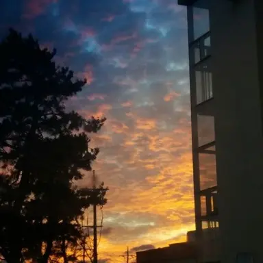 Profile image of 주혁