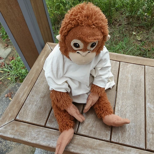 흑화한 고송이