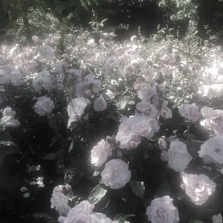 SuperbBack3921의 女装現パロ