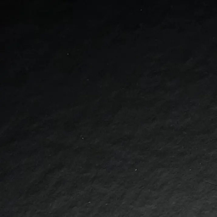 Bluejeans3의 개인용