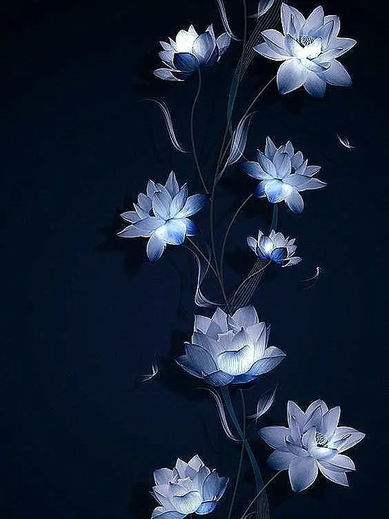 Love_voxal의 拾われた貴方は…