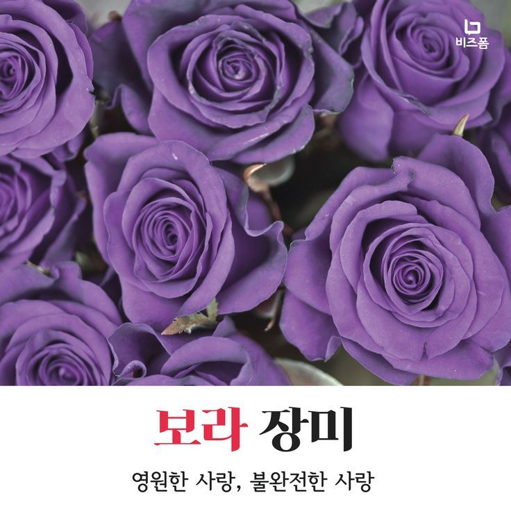 진짜 그냥 내가하려고 만듬. 대표 이미지