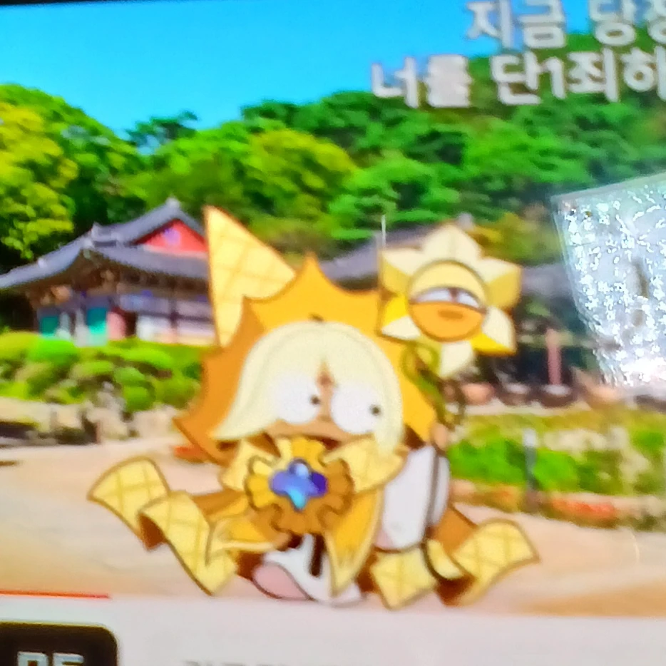 퓨어바닐라쿠키