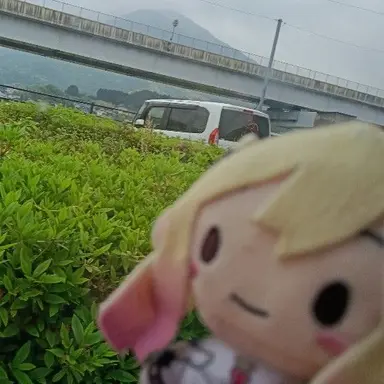Profile image of ゆあ